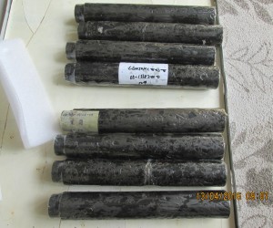 Bộ trục đầu vặn nắp máy capper 
